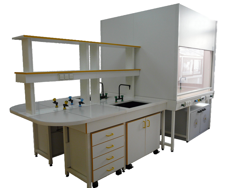 aménagement laboratoire paillasse centrale 2 sorbonnes